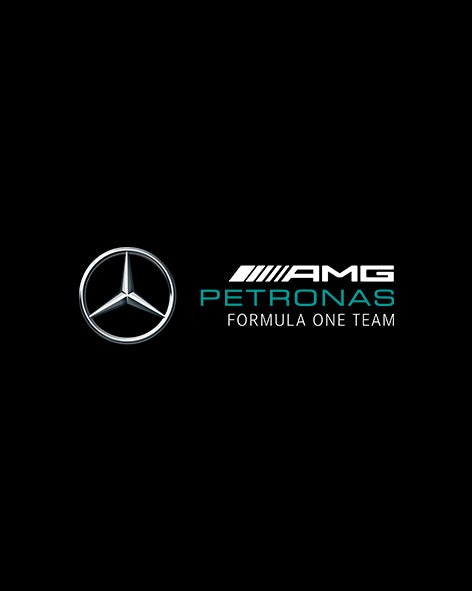 petronas mercedes team
