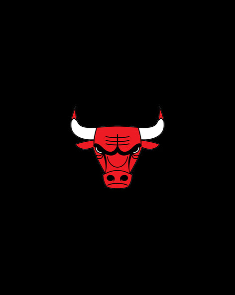 chıcago bulls