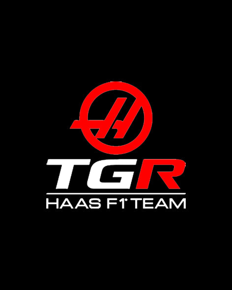 haas f1 team