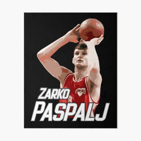 Zarko Paspalj